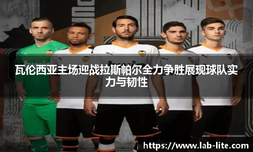 熊猫体育 - 中国官方认证体育赛事直播平台